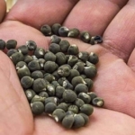 7DEE46ED-F000-4D3D-AFF6-554A7350D782