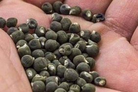 7DEE46ED-F000-4D3D-AFF6-554A7350D782