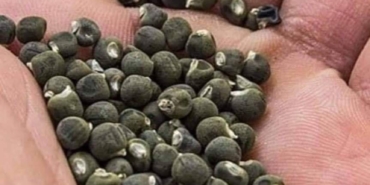 7DEE46ED-F000-4D3D-AFF6-554A7350D782