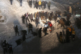 81CEF9CC-DA1A-46D0-9F51-136610B659F5