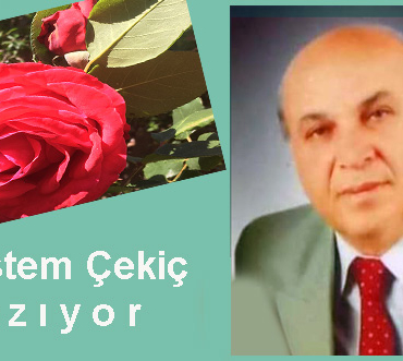 Rustem Cekic