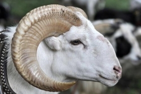 28A238B3-A816-43FF-B44E-B7DADAFC4BDB