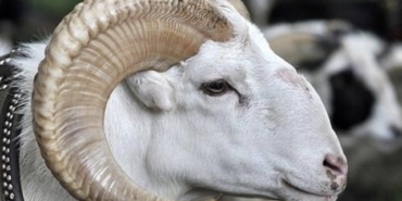 28A238B3-A816-43FF-B44E-B7DADAFC4BDB