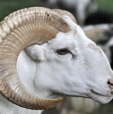 28A238B3-A816-43FF-B44E-B7DADAFC4BDB