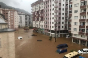 F31DD9A4-A72B-4300-B2B4-BF56D8E69CCA