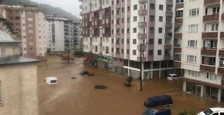 F31DD9A4-A72B-4300-B2B4-BF56D8E69CCA