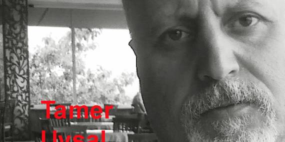 Politik Sistem ve Seçim