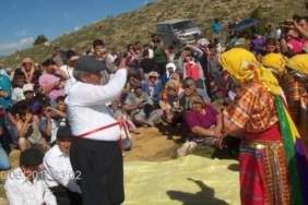 bulgar bozoğlan- samah