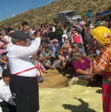 bulgar bozoğlan- samah