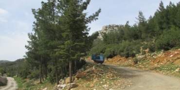 alatopaktaş tan cılbayır a