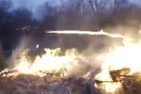 5CD9EE8B-347F-4CD5-8B81-911552A864C1