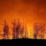 6C806CB6-98CC-4403-95B6-85375DCF3CEE