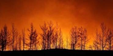 6C806CB6-98CC-4403-95B6-85375DCF3CEE