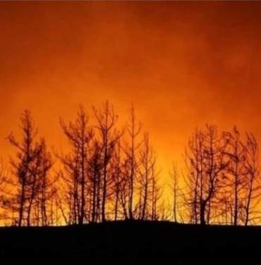 6C806CB6-98CC-4403-95B6-85375DCF3CEE