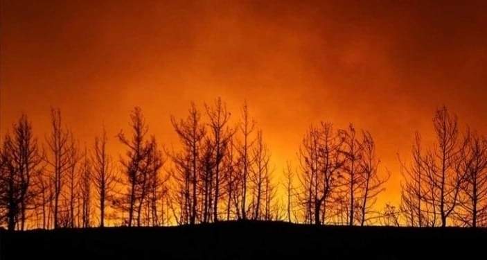 6C806CB6-98CC-4403-95B6-85375DCF3CEE