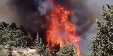 F5552087-4692-481D-A971-0AFBAC490A44