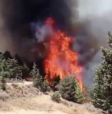 F5552087-4692-481D-A971-0AFBAC490A44