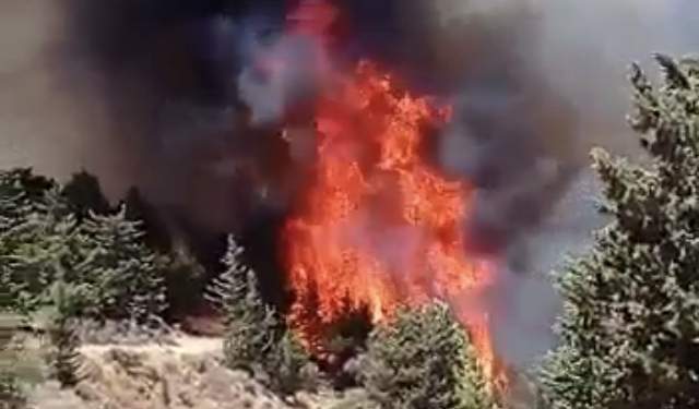 F5552087-4692-481D-A971-0AFBAC490A44