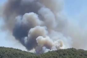 thumbnail_Screenshot_20210729-170748_Instagram