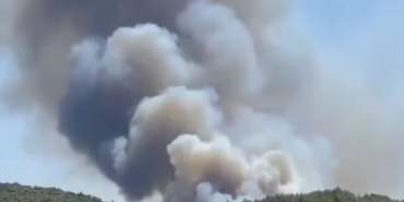 thumbnail_Screenshot_20210729-170748_Instagram