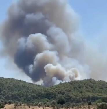 thumbnail_Screenshot_20210729-170748_Instagram