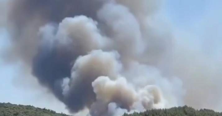 thumbnail_Screenshot_20210729-170748_Instagram