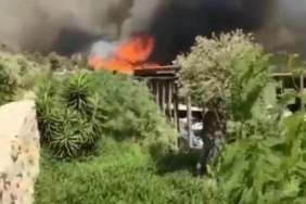 thumbnail_Screenshot_20210729-171022_Instagram