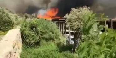 thumbnail_Screenshot_20210729-171022_Instagram