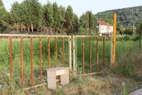 sapanca,ceset