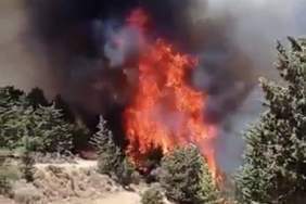 24129933-4EF0-403E-9A8F-C386C4E5ED92