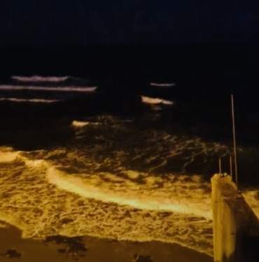 6FE03A8D-57FA-4E87-8C89-B557C8980F54