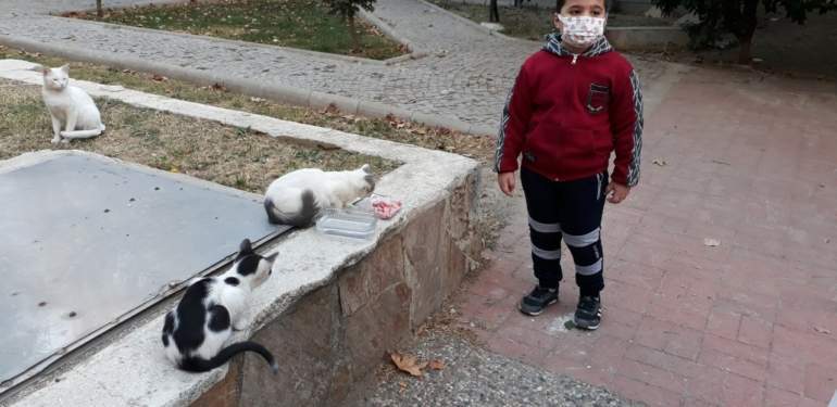 thumbnail_20211005_180904