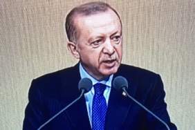 35D7CAC1-A4AB-4D9F-8409-F466D3890C77