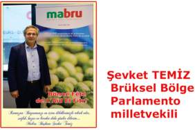 Sevket Temiz d