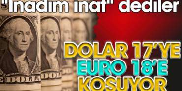dolar