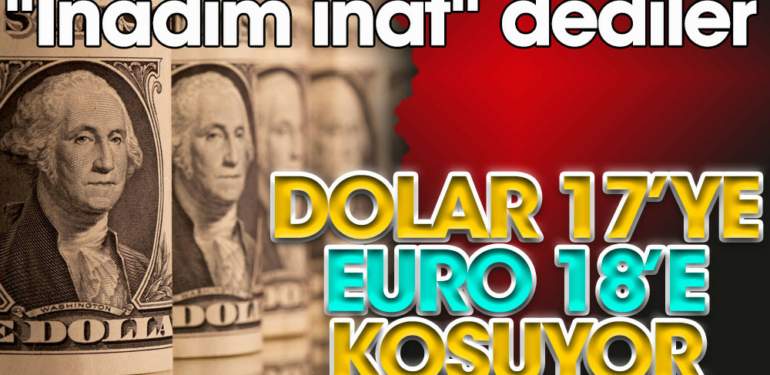 dolar