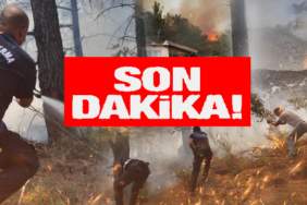 yangın