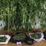 uyusturucu-iha-1922982_2