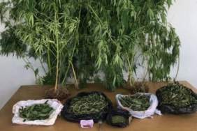 uyusturucu-iha-1922982_2