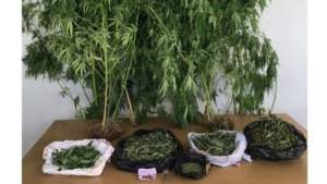 uyusturucu-iha-1922982_2