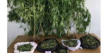 uyusturucu-iha-1922982_2