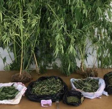 uyusturucu-iha-1922982_2