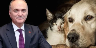 akpli-duzce-belediye-baskani-faruk-ozlu-katliam-yasasina-tepki-gosterdi-bunun-bir-mantigi-var-mi-rjt9