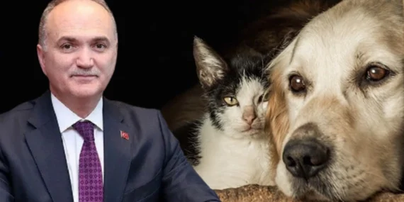 AKP’li Başkandan ‘Katliam Yasası’na Tepki: ‘Bunun Bir Mantığı Var Mı?’