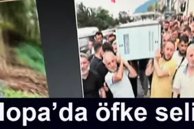 agaclar hopa