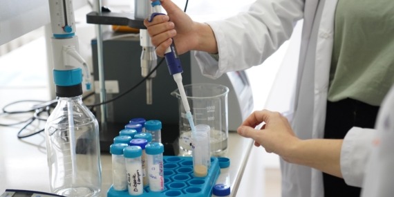 Sakarya Üniversitesinin Yükselişi Sürüyor