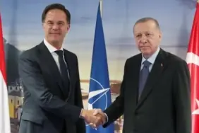 Erdoğan-Rutte